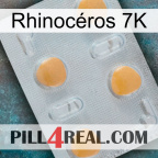 Rhinocéros 7K 24